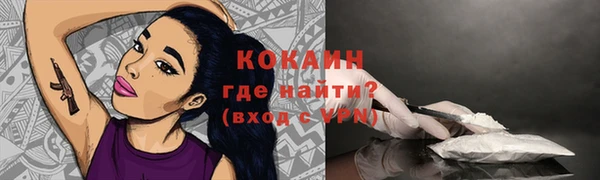 стаф Михайловск