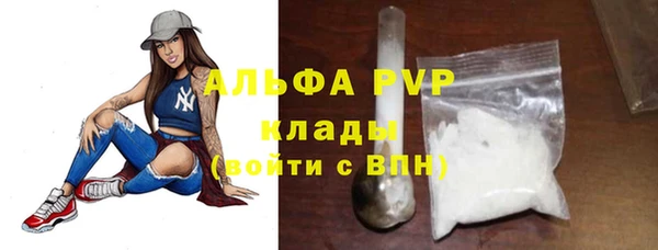 стаф Михайловск