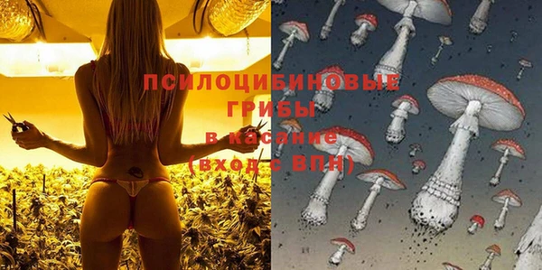 гашишное масло Михайлов