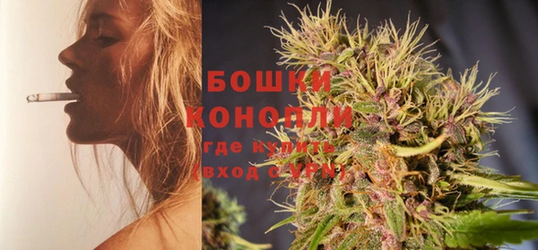 стаф Михайловск