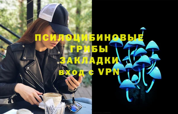 apvp Михайловка