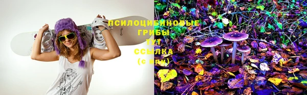 стаф Михайловск