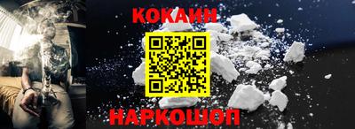СК Кингисепп