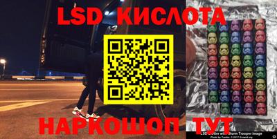 СК Кингисепп