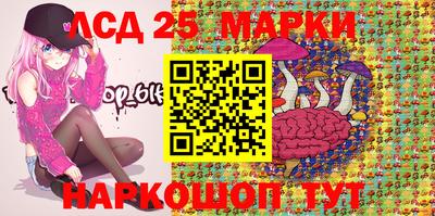 амф Кимры