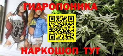 СК Кингисепп
