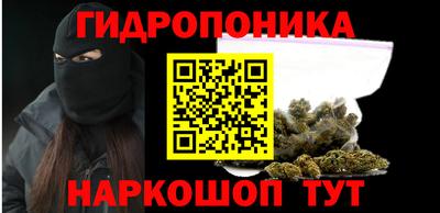 амф Кимры