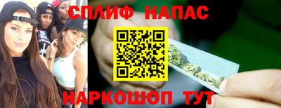 СК Кингисепп
