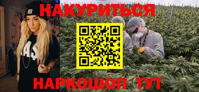 СК Кингисепп