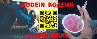 СК Кингисепп