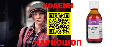 СК Кингисепп
