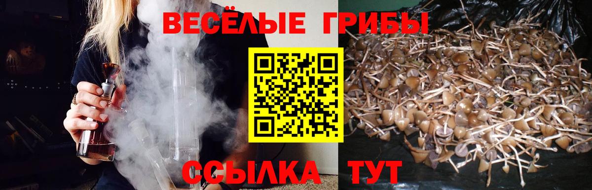 Галлюциногенные грибы мухоморы Янаул